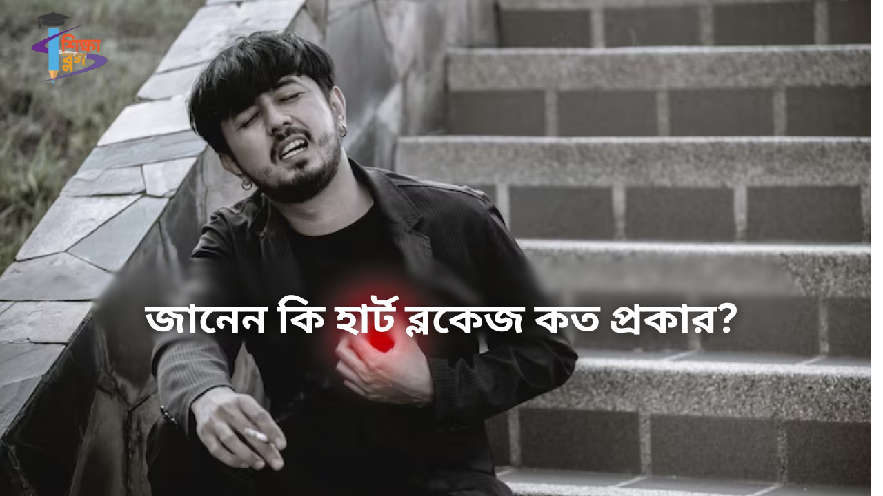 হার্ট ব্লকেজ, হার্ট ব্লক কি