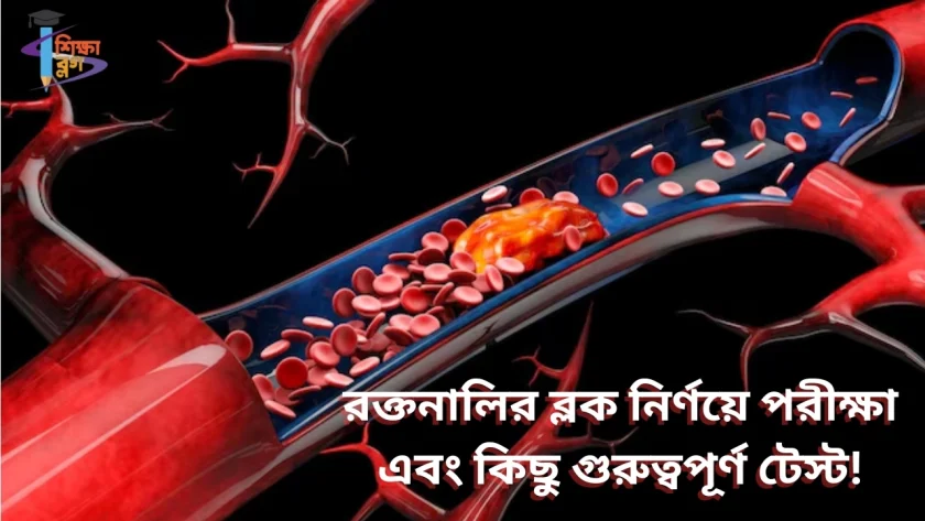 রক্তনালির ব্লক নির্ণয়ে পরীক্ষা